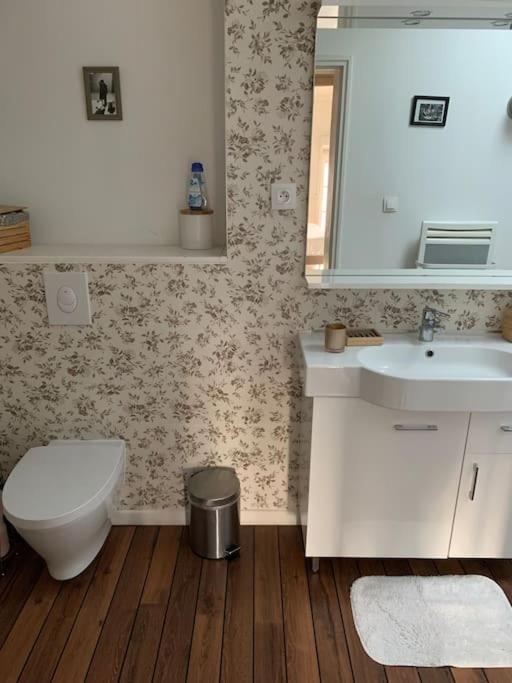 Appartement Duplexcoeur De Ville ميتز المظهر الخارجي الصورة